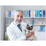 veterinário para gato agendar Pirituba