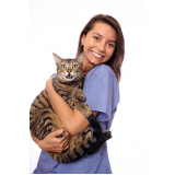 veterinário para gatos agendar Vila Leopoldina