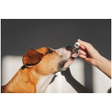 veterinários homeopatas agendar Lapa