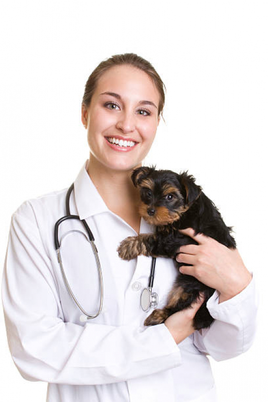 Veterinário Clínico Geral Marcar Panamby - Veterinário para Cachorros