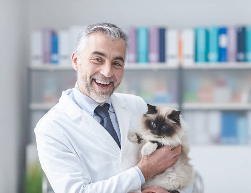 Veterinário para Gato Agendar Sumaré - Veterinário Ortopedista